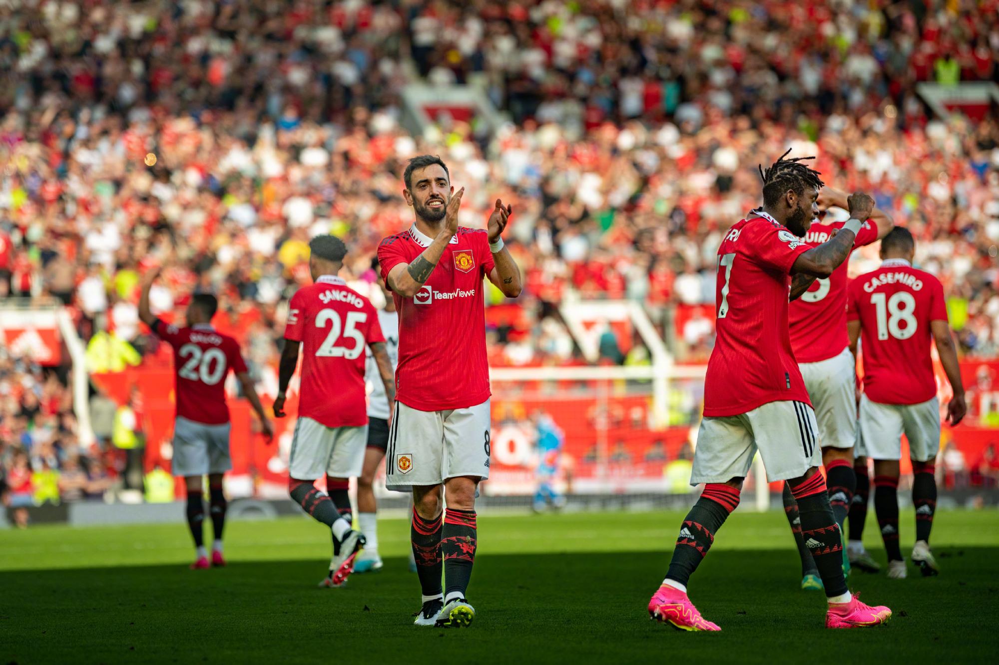 但也提供了 但也提供了